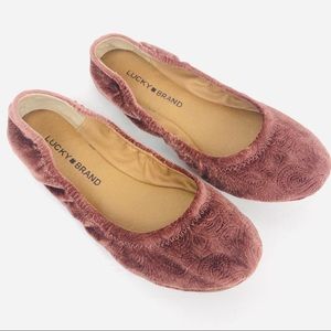 Lucky Brand Emmie Velvet sable ballet flats size 6